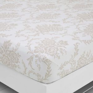 BRUSHED COTTON MATHILDE Single Fitted Sheet 