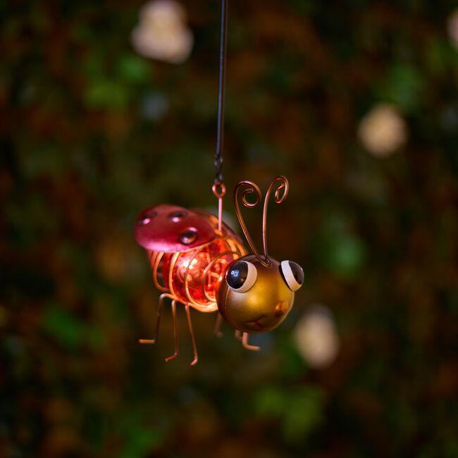 Hanging Ladybird / Bee Garden Solar Light