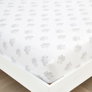 MONA OCHRE Single Fitted Sheet