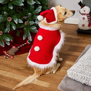 Christmas Pet Santa Costume - Large