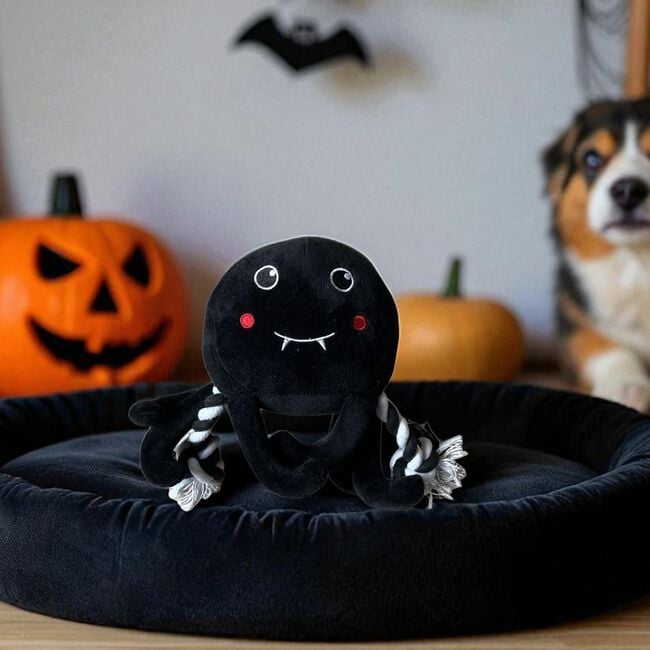 Spider Plush & Rope Dog Toy