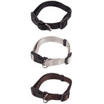 Smart Choice Dog Collar - Small