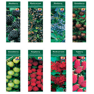 Fruit Plant Varieties 