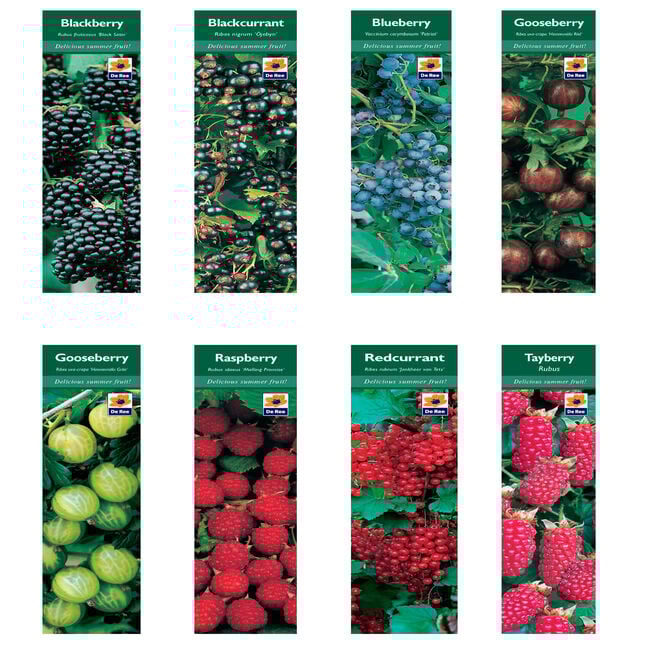 Fruit Plant Varieties 