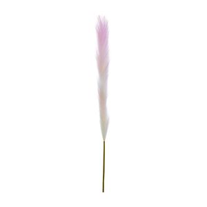 Pampas Single Stem Pale Pink 96cm