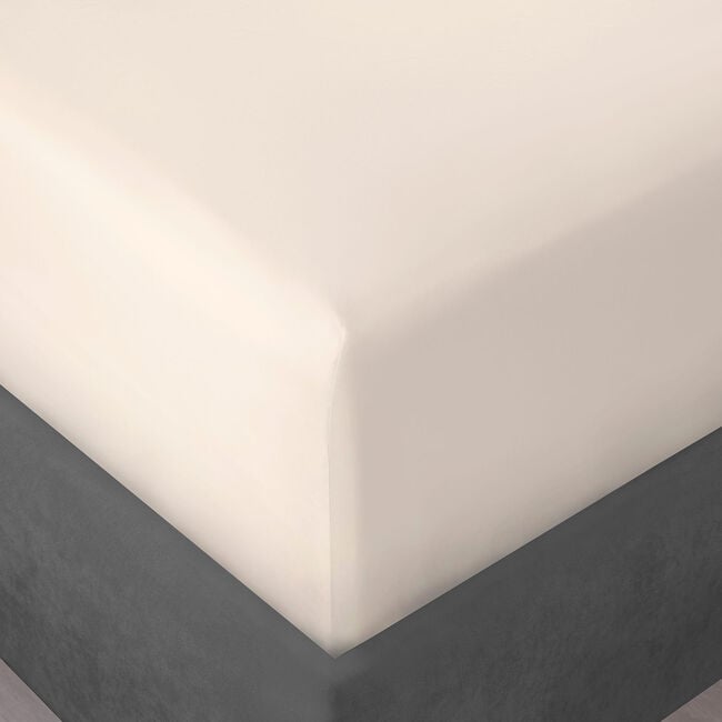 SKS FITTED SHEET 500 Threadcount Cotton Cream