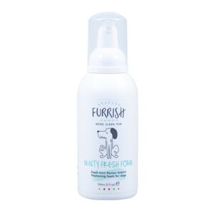 Furrish Minty Fresh Foam 150ml