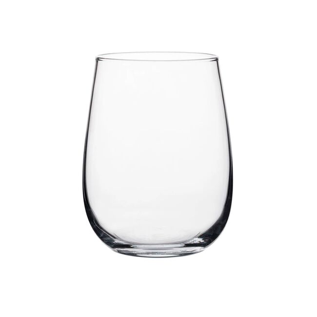 Ravenhead Bouquet Tumbler Glasses 470ml
