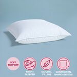 Luxe Duck Feather & Down Continental Pillow