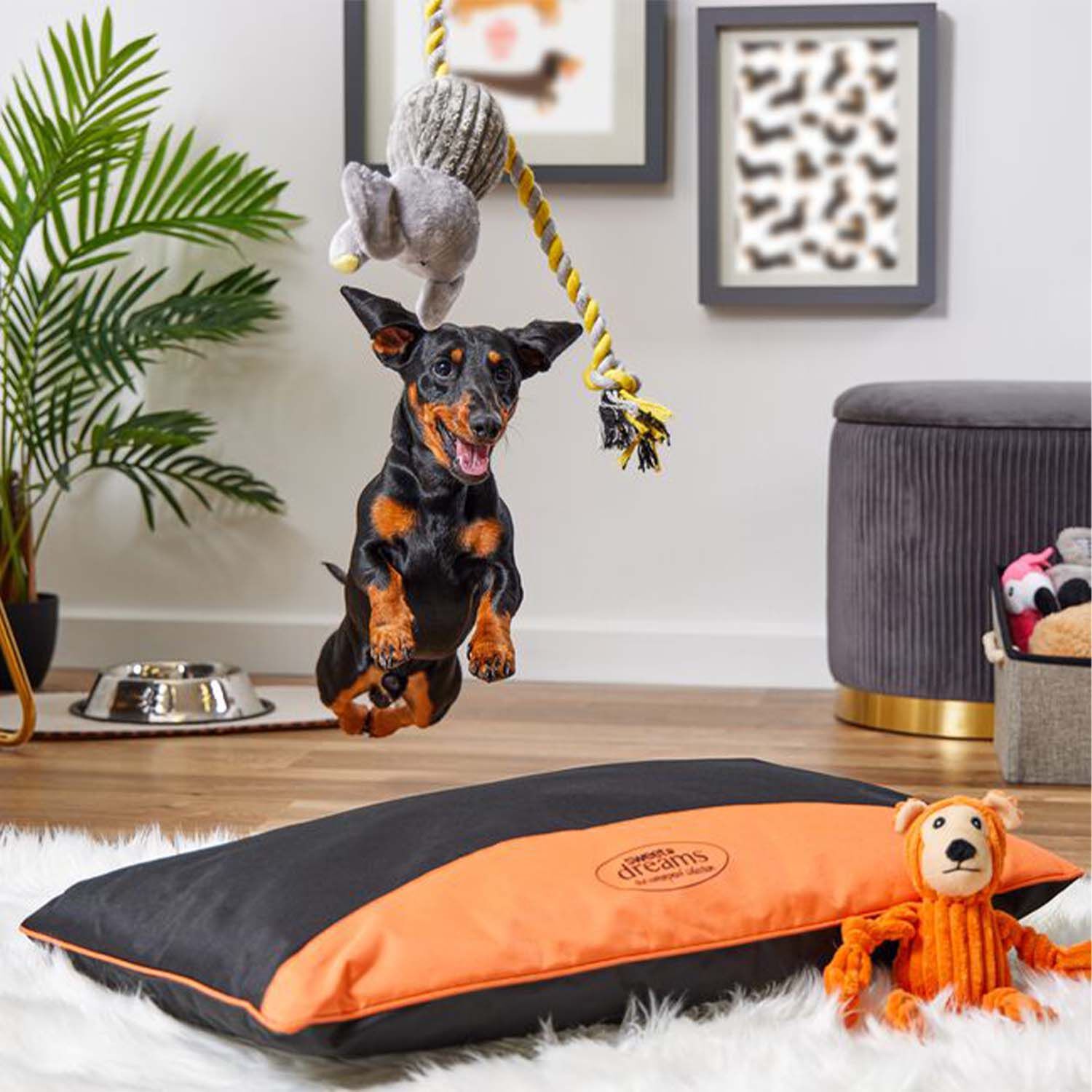 Waterproof Pet Bed Home Store More
