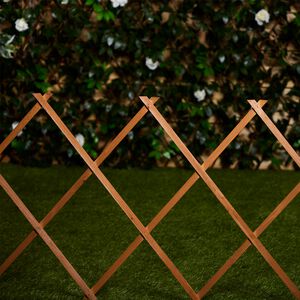 Wood Expanding Trellis 180cm x 60cm