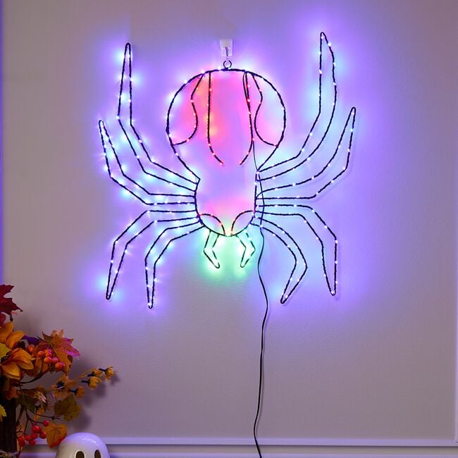 LED Spider Silhouette Light