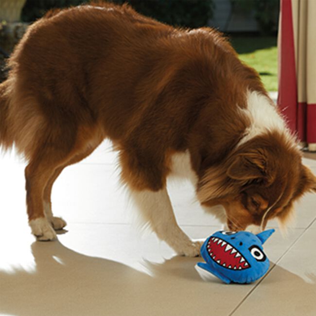JML Chuckle Chums Shark Pet Toy
