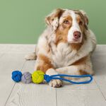 Triple Knot Rope Dog Toy - Assorted 