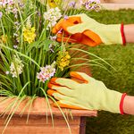 Medium Latex Gardening Gloves