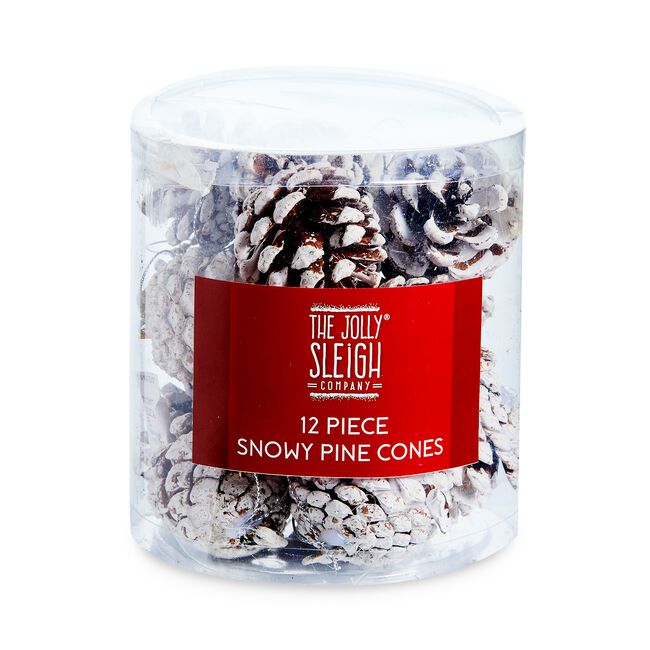 Snowy Pine Cones Tree Decorations - 12 Pack