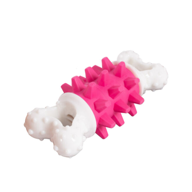 Dental Dog Toy w/ Giggle Noise