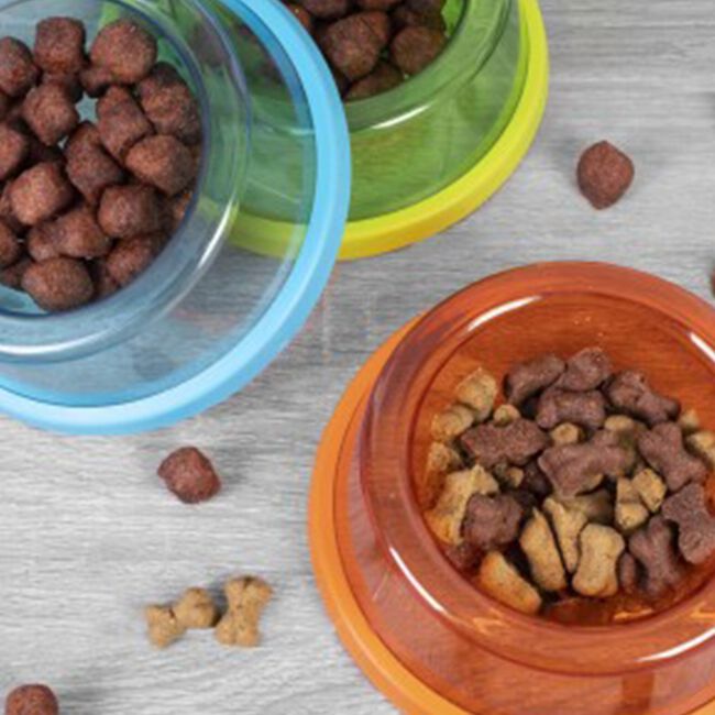 Anti Skid Plastic Cat Bowl - 15cm