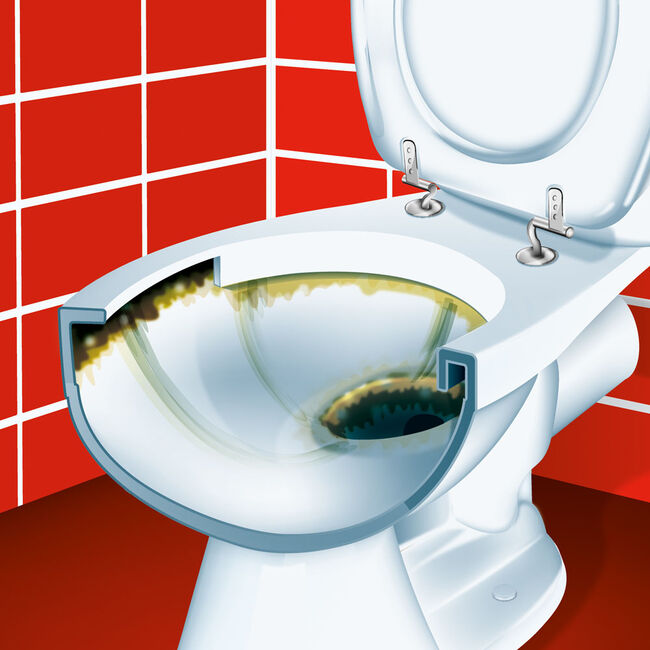 HG Super Powerful Toilet Cleaner 500ml Home Store + More