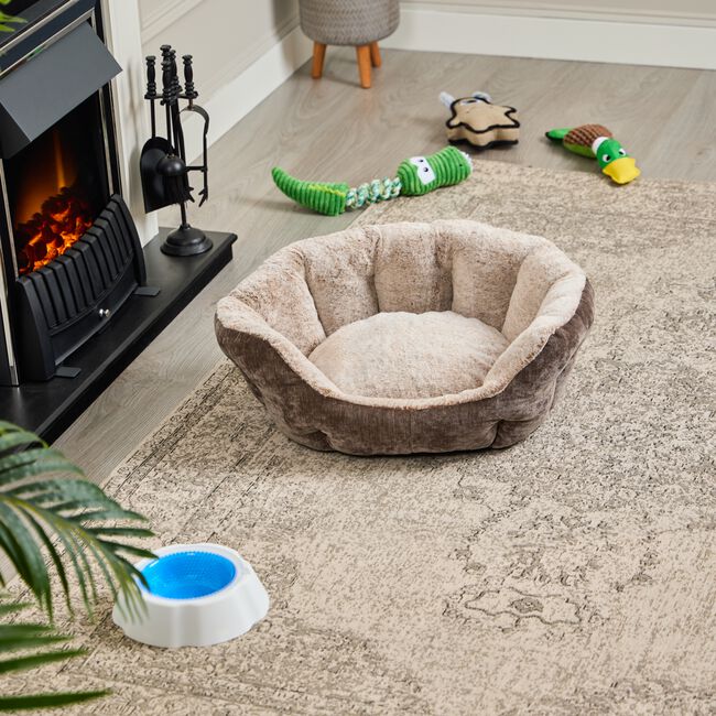 Zen Pet Bed Medium