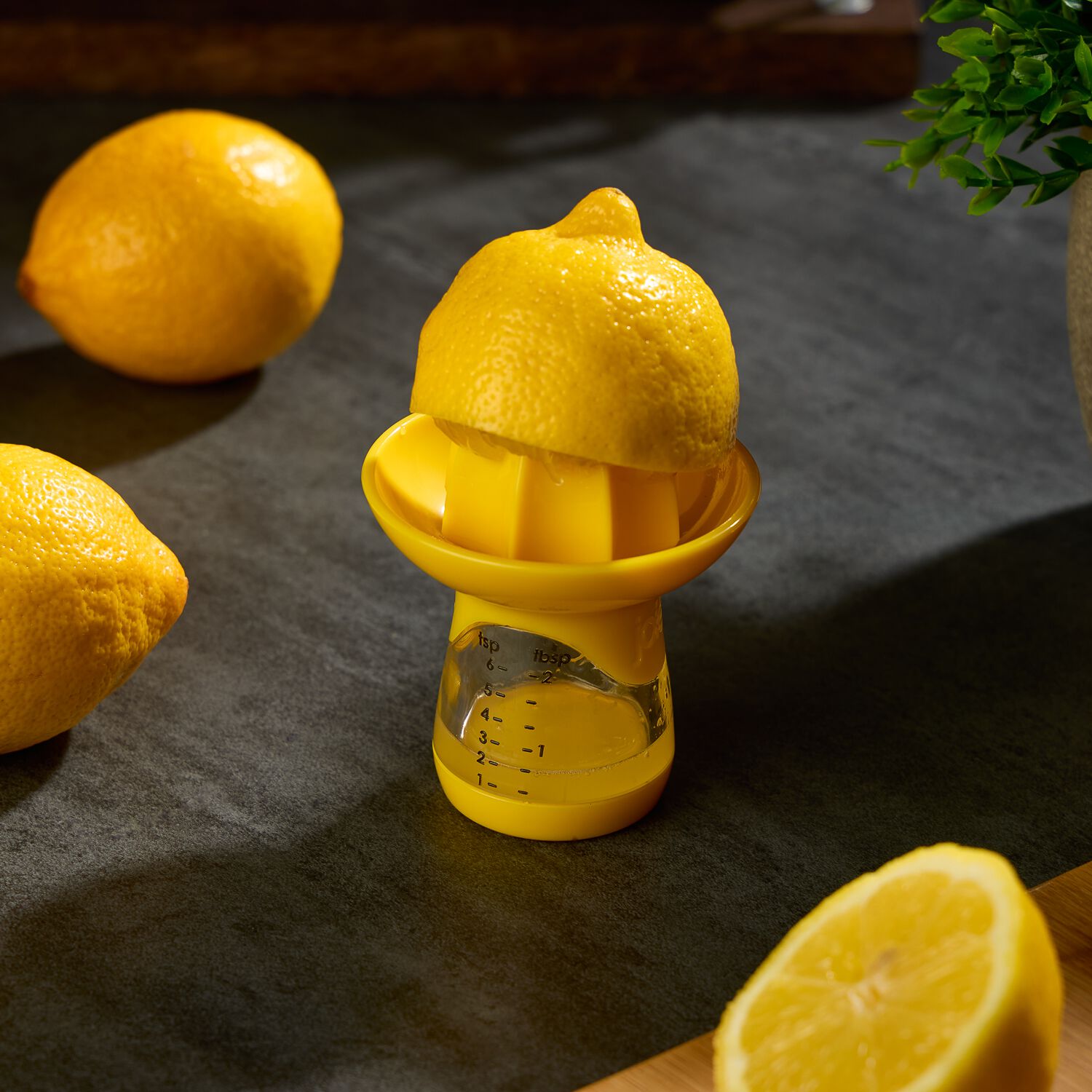 Joie Lemon Juicer Home Store + More