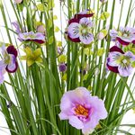 Bloomvibe Lilac Lullaby Floral Bouquet