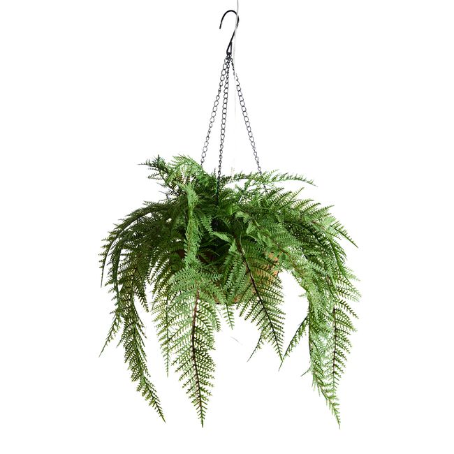 Fern Solar Hanging Basket Garden Light