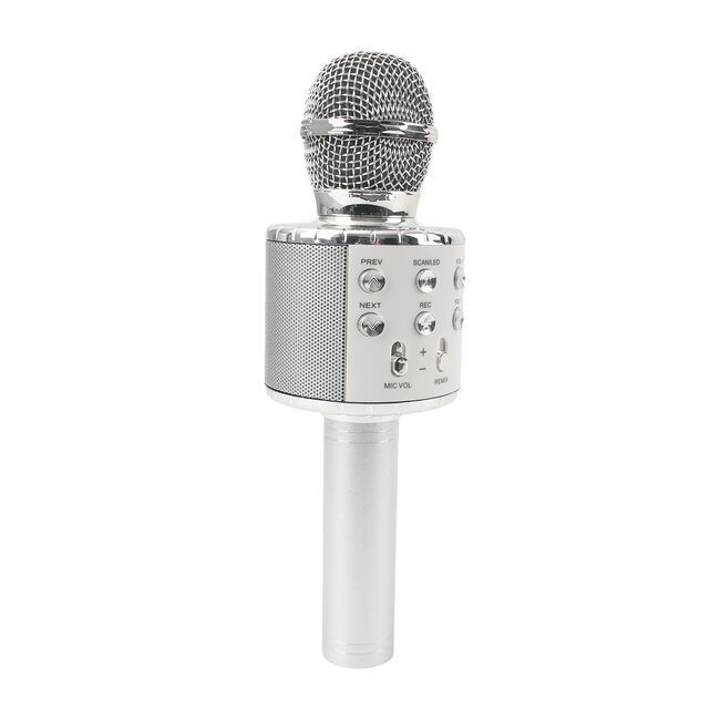 Wireless Karaoke Microphone