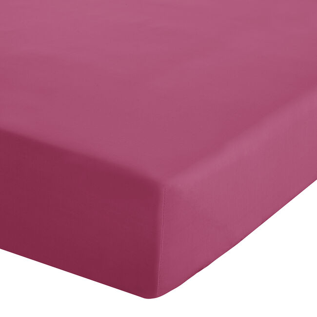 SINGLE FITTED SHEET Luxury Percale Hot Pink 