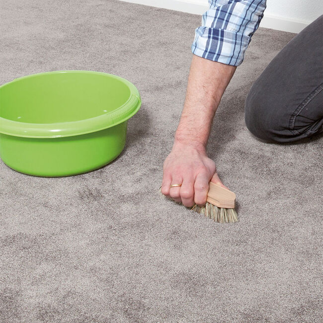 HG Upholstery & Carpet Floor Cleaner 1L