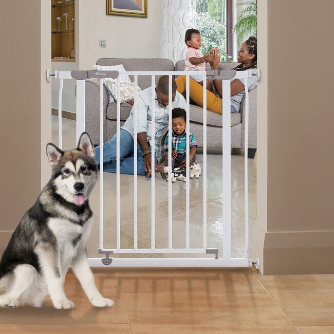 Dreambaby® Ava Gate