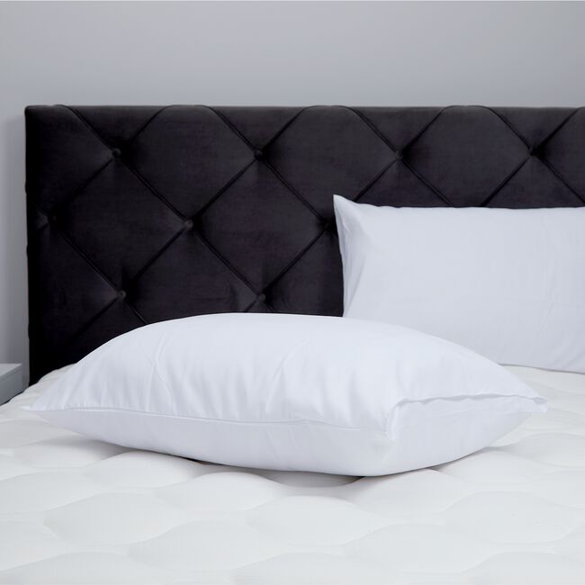 Nicole Day Scented Cotton Pillow Protector 2Pk