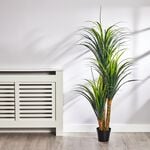 1.5M Artificial Dragon Tree