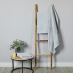  TURKISH COTTON SUPERSOFT 550GSM SILVER Hand Towel