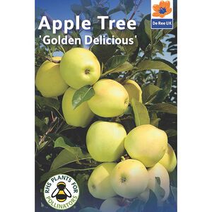 Golden Delicious Apple Tree