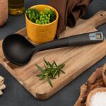 Prestige Solid Spoon