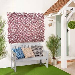 Red Acer Willow Trellis 1M x 2M