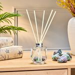 Aromabotanical Crystal Fluorite Reed Diffuser