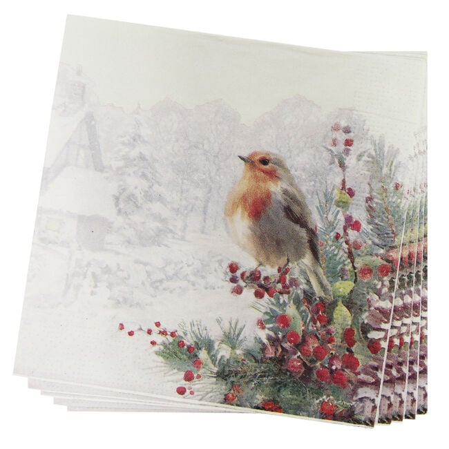 Robin Snow Scene Napkin 20 Pack