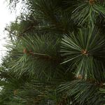 Nebraska 8ft Christmas Tree