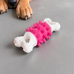 Dental Dog Toy Giggle Noise - Assorted