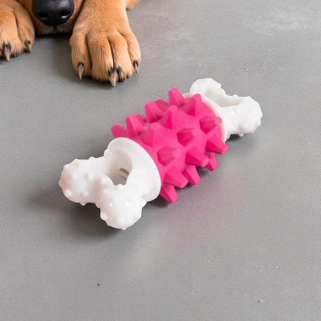 Dental Dog Toy Giggle Noise - Assorted