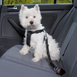 Dog Car Harness