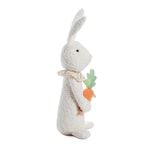 Easter Rabbit Holding Carrot