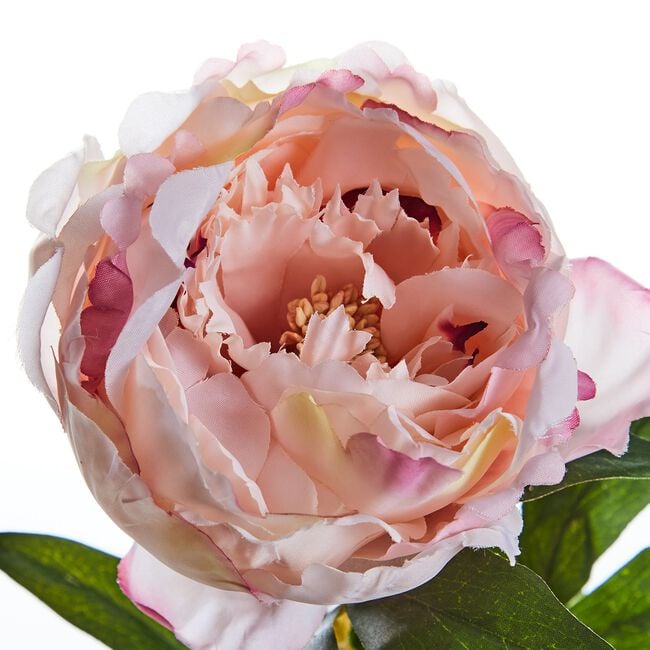 Peony Single Stem Pink Flower 74cm