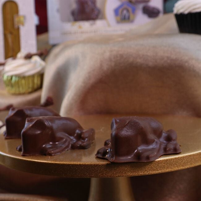 Harry Potter Honeyduke's Chocolate Frog Mould Set