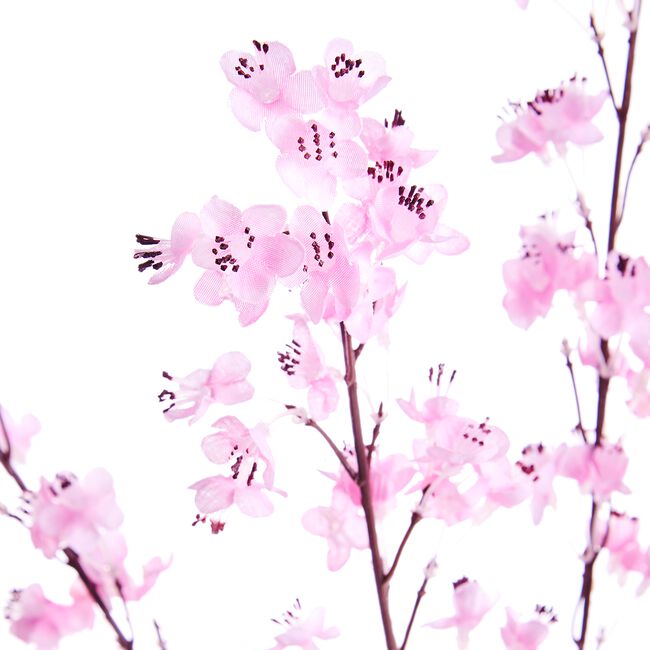 Prunus Branch Light Pink 89cm
