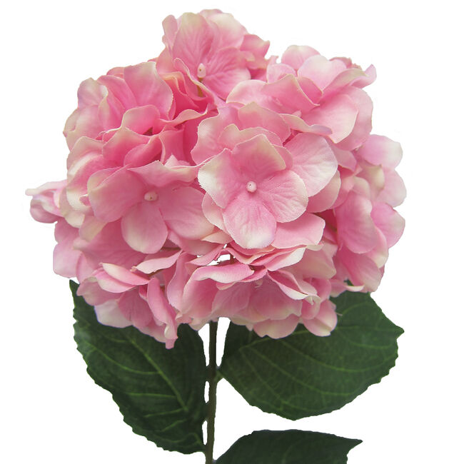 Hydrangea Spray Stem Flower Pink- 74cm 