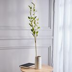 Eucalyptus With Berries Spray - 104cm