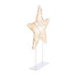 Warm White Star Silhouette Light